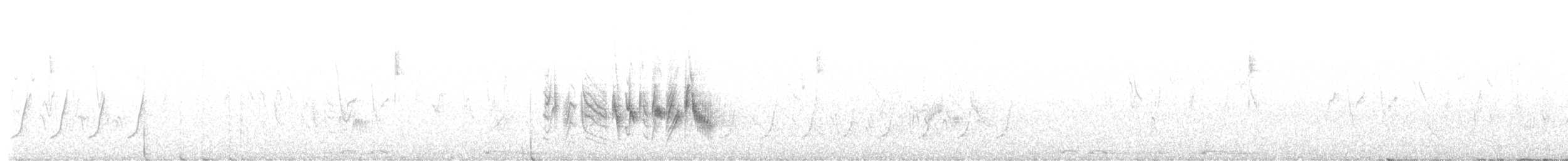 Braunaugenvireo (arizonae) - ML618612180