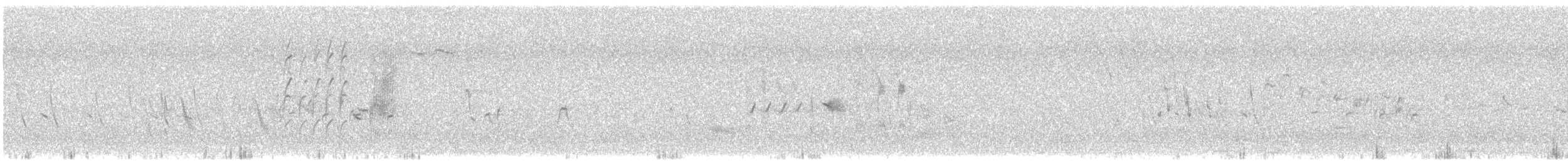 Txoka arrunta - ML618613016