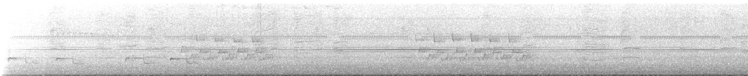 Поплітник каролінський - ML618616291