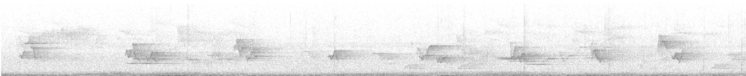 Hermit Thrush (faxoni/crymophilus) - ML618617085