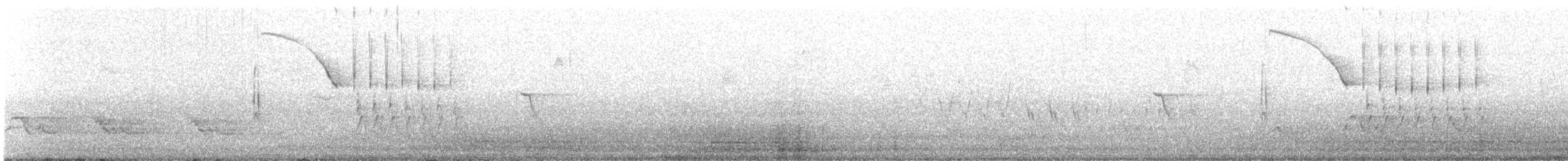 Тауї плямистий/східний - ML618617384