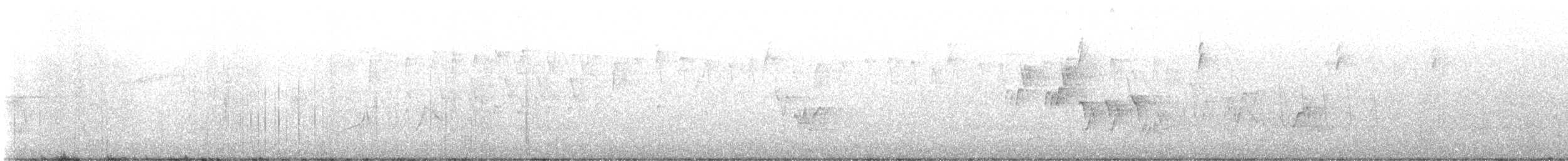 Черногорлая хвойница - ML618617616