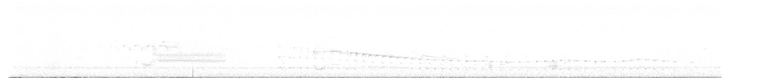 Sora - ML618623822