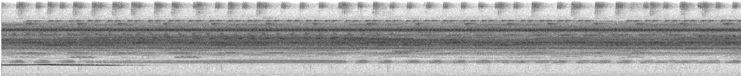 Great Tinamou - ML618624436