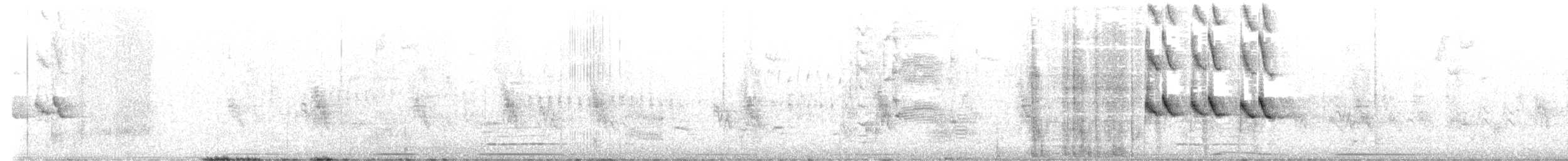 Büyük Kuyruklu Kiskal - ML618627082