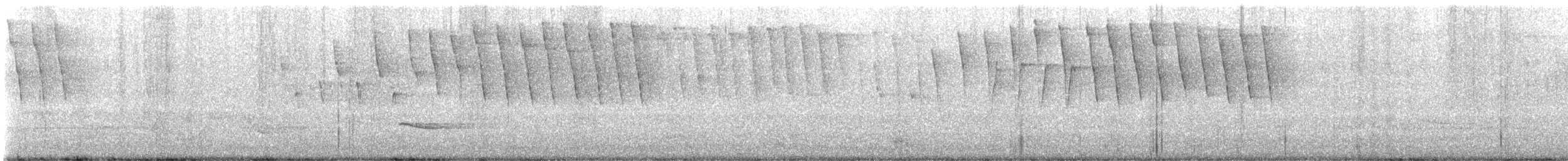 Tennessee Warbler - ML618627086