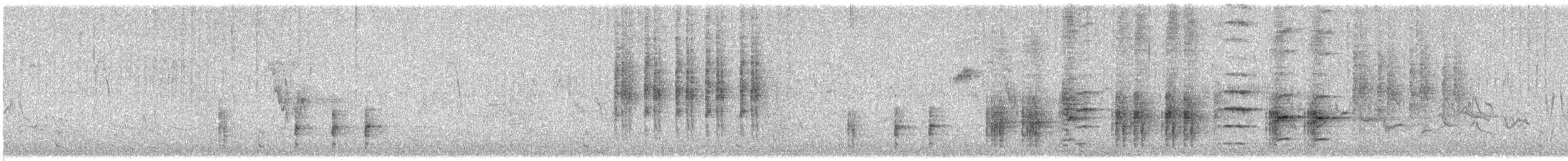 Great Reed Warbler - ML618628384