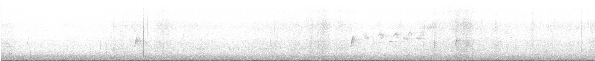 Moucherolle sombre - ML618629056