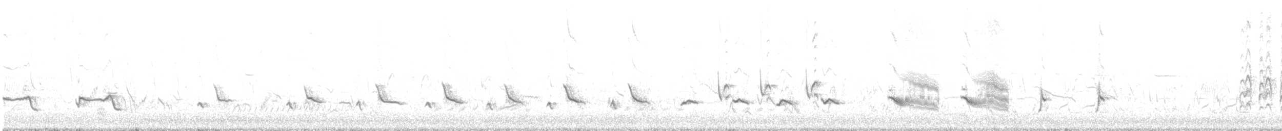 Sinsonte Norteño - ML618629481