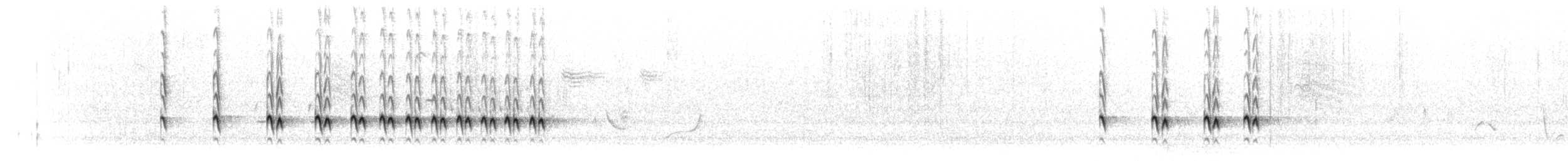 Chaparralgrasmücke - ML618632814