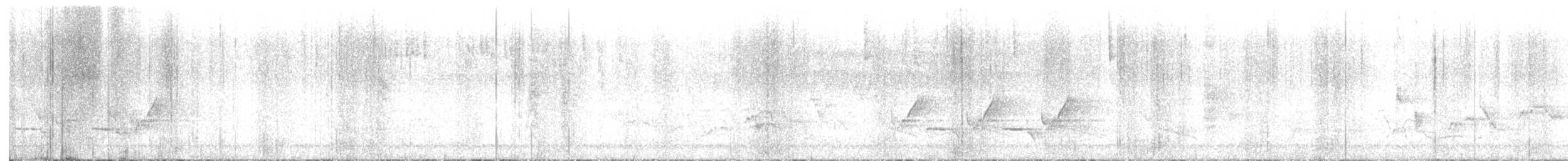 Дрізд-короткодзьоб Cвенсона - ML618638097