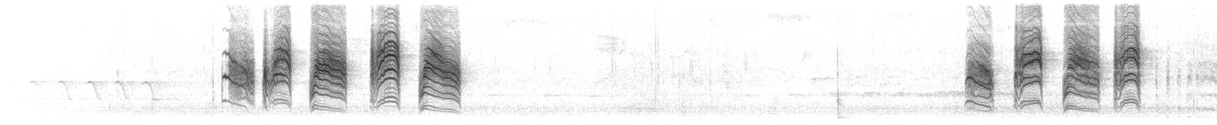 nordmyggsmett (obscura gr.) - ML618638909