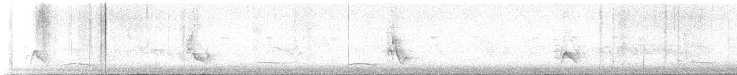 Plumbeous Vireo - ML618639350