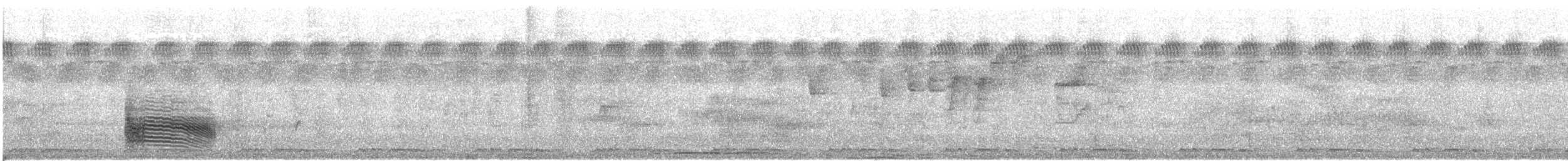 Африканский широкорот [группа afer] - ML618639826