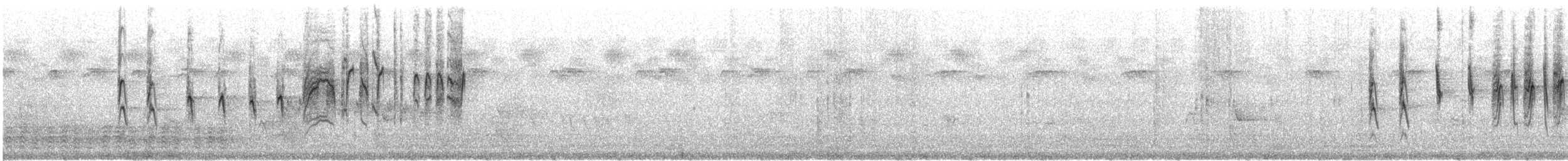 Uzun Kuyruklu Nektarkuşu (pulchellus) - ML618640035