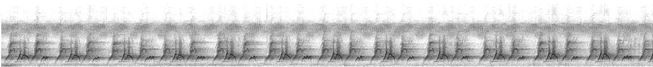 Felsenwachtel (petrosus) - ML618640306