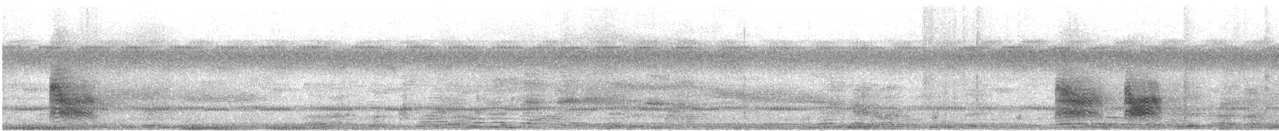 Африканский широкорот [группа afer] - ML618640434