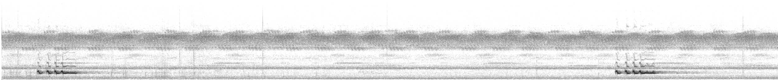 アフリカコノハズク（senegalensis） - ML618640471