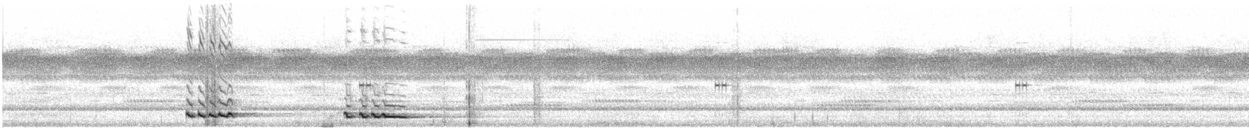 アフリカコノハズク（senegalensis） - ML618640476