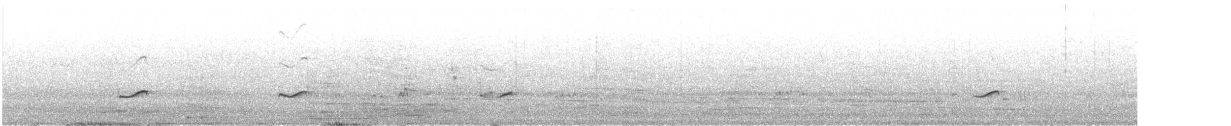 Gray-tailed Tattler - ML618643148