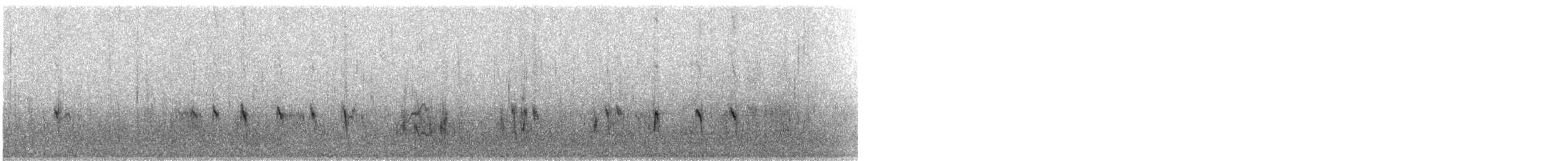 Double-banded Plover - ML61864421