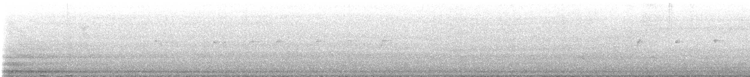 Mirlo Acuático Norteamericano - ML618645394