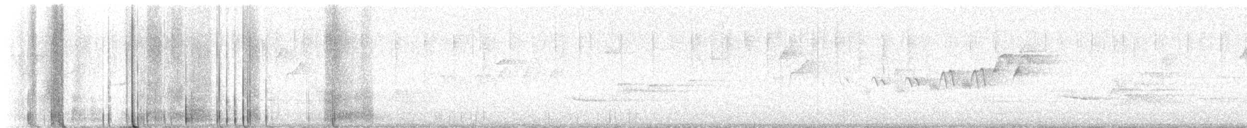 Hermit Warbler - ML618645618