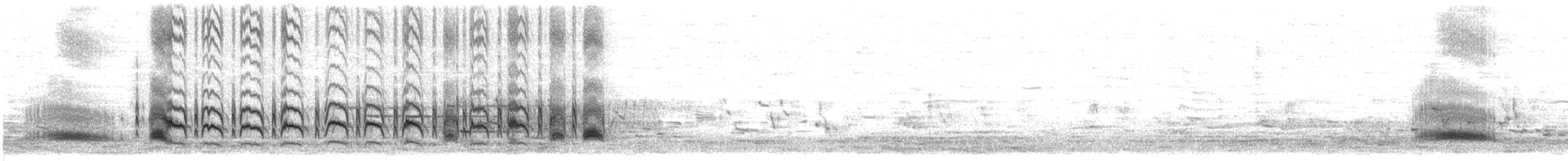 Серогрудый тиранн - ML618646030