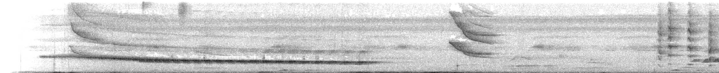 Ivory-billed Woodcreeper - ML618646812