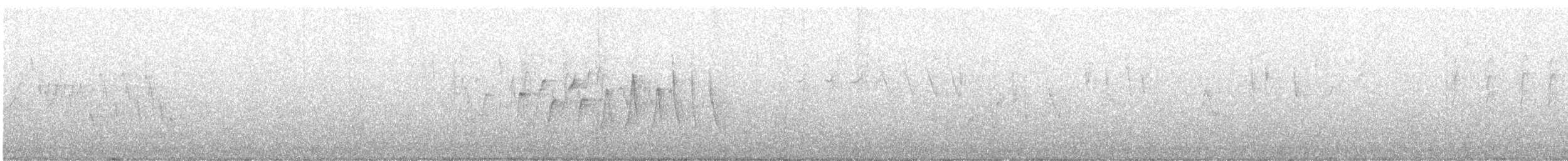 Northern Waterthrush - ML618647709