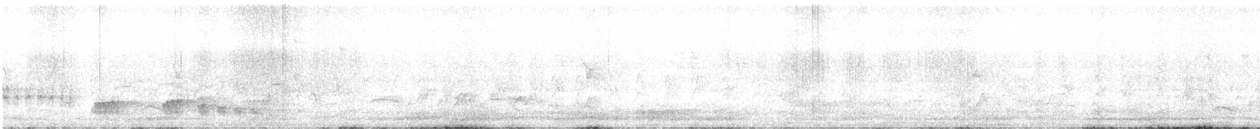 Скрытохвост татаупа - ML618648752