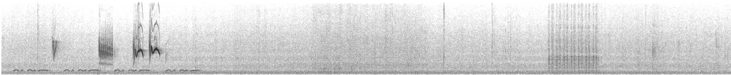 Northern Crombec (Northern) - ML618649376