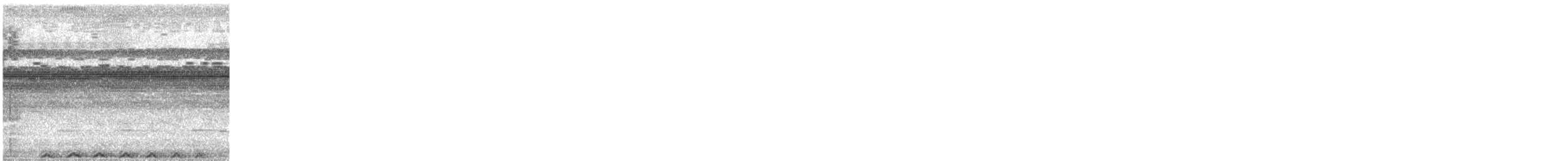 Spectacled Owl - ML618651884