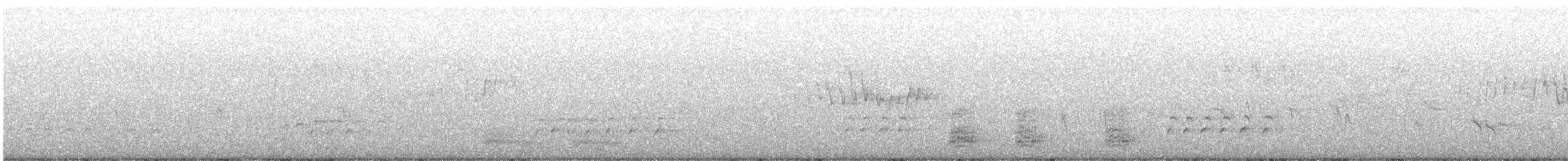 Whimbrel (Hudsonian) - ML618651937