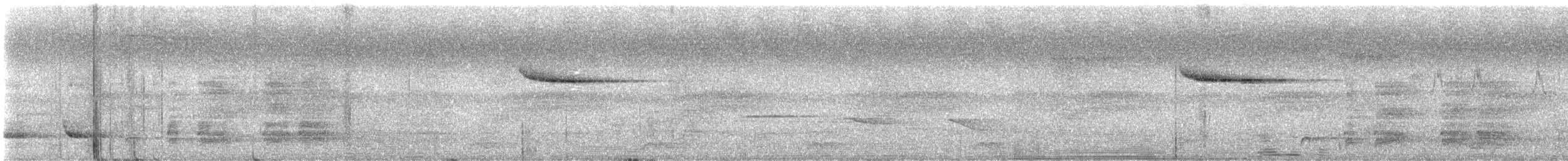 白斑紫嘯鶇 - ML618654302