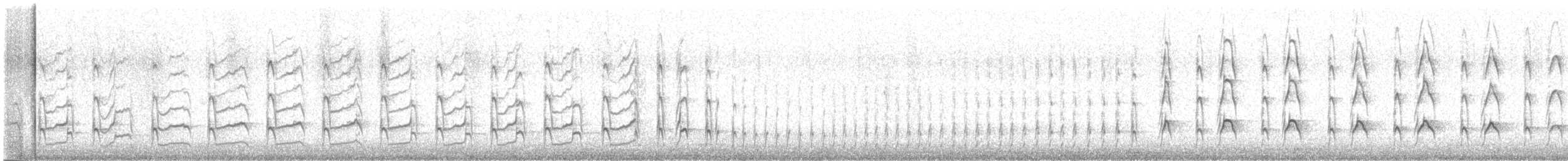 ústřičník proměnlivý - ML618654999