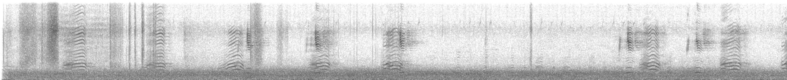 husice rajská - ML618655351