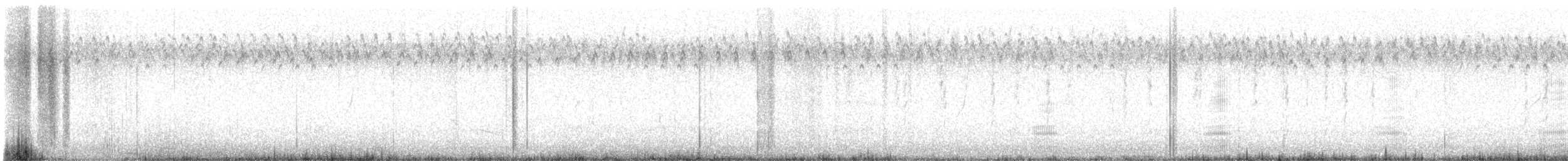 husa kuří - ML618655586