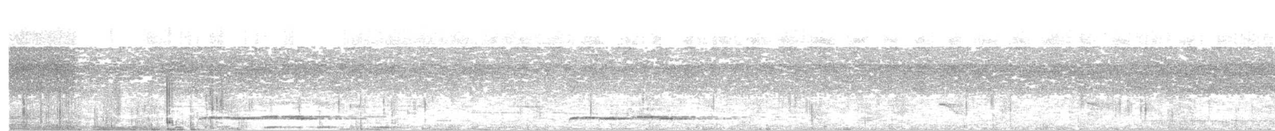 セグロカッコウ - ML618656818