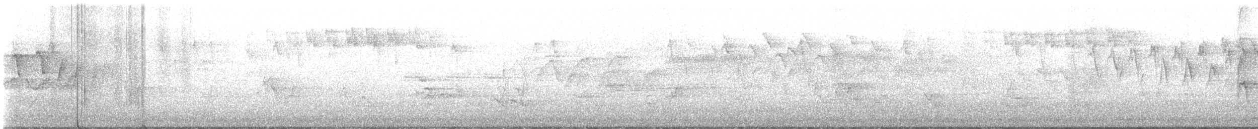 Streifenwaldsänger - ML618659126