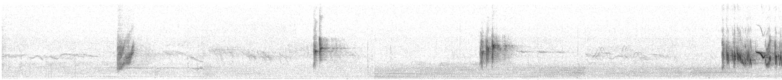 Batılı Kara Kulaklı Kuyrukkakan - ML618661626
