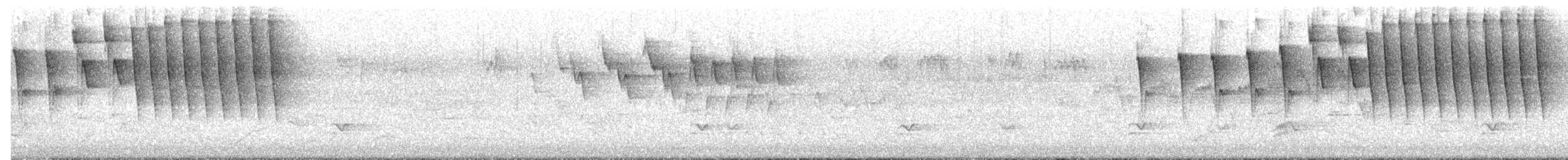 Brauenwaldsänger - ML618663132