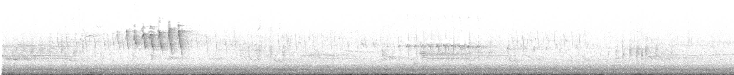 Paruline à calotte noire - ML618663651