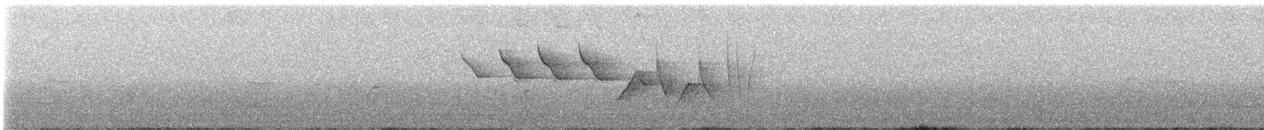 Louisiana Waterthrush - ML618664438