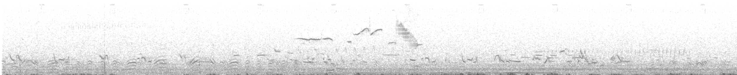 Gallo de las Praderas Grande (pinnatus) - ML618666832