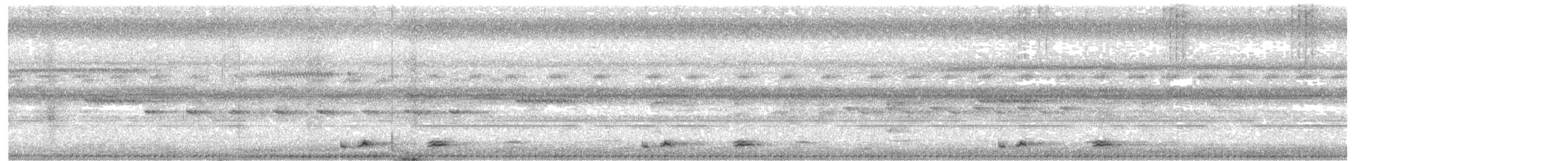Bindenschwanz-Nachtschwalbe - ML618667016