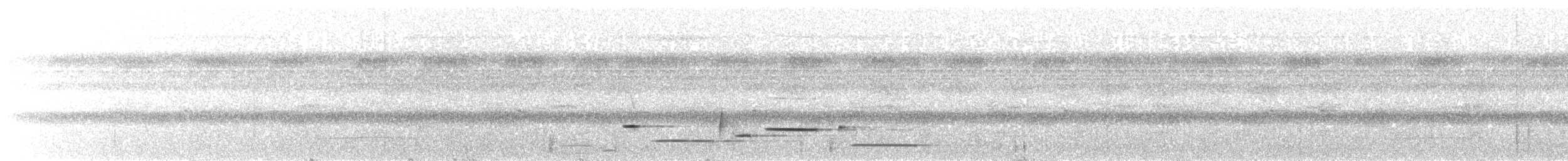 Troglodyte arada - ML618667826