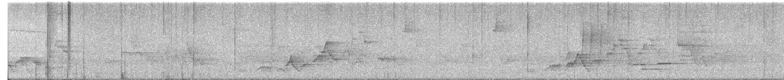 Дрізд-короткодзьоб Cвенсона - ML618668228