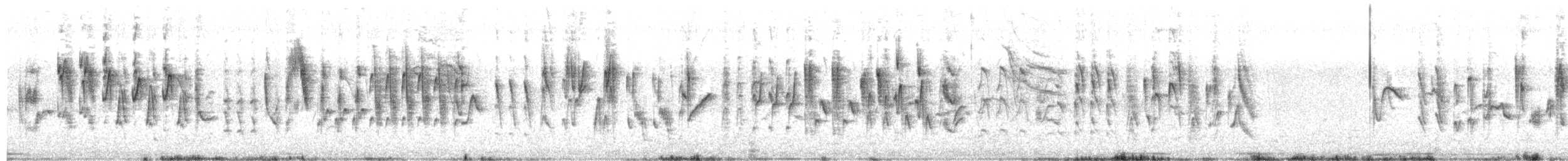 sørsisik - ML618674562