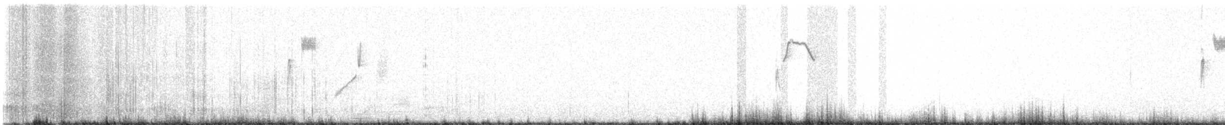 Five-striped Sparrow - ML618674621